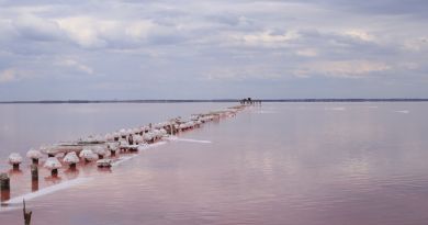 Экскурсии в Озеро Сасык-Сиваш (розовое озеро) из Прибрежного 2024