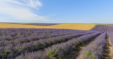 Авто-пешеходная экскурсия из Евпатории (фото 6)