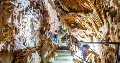 Экскурсии в Скельская пещера из Прибрежного 2024