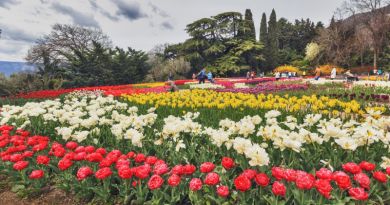 Экскурсии в Парад Тюльпанов в Никитском ботаническом саду из Прибрежного 2024