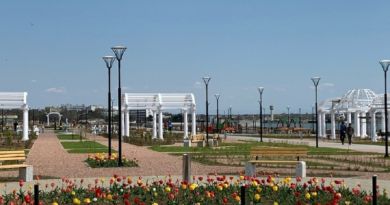 Экскурсия из Евпатории: Саки - столица грязелечения фото 12270
